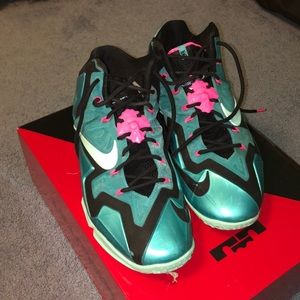 Lebron 11 south beach